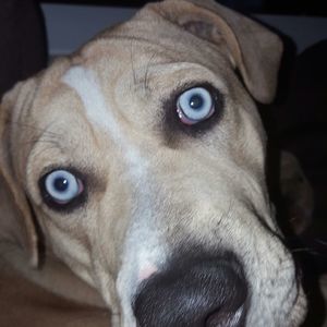 Meet your Posher, Jerry